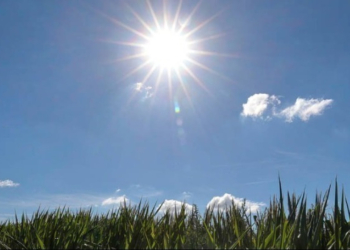 Φινλανδία: Κύμα ζέστης με ρεκόρ θερμοκρασία