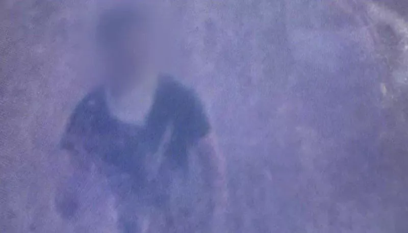 συχαινα