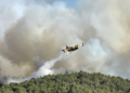 Φωτιά στην Αρχαία Νεμέα, κοντά σε σπίτια