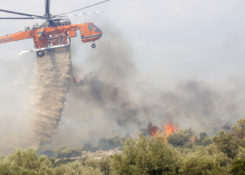 Φωτιά στον Μελιγαλά Μεσσηνίας, κοντά σε σπίτια