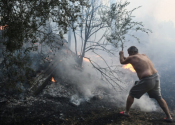 Φωτιές στην Ελλάδα: Σχεδόν 100.000 στρέμματα έχουν επηρεαστεί από τα πύρινα μέτωπα