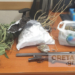 Hράκλειο: Είχε στο σπίτι του κάνναβη, χασισόδεντρα και κυνηγετικό όπλο