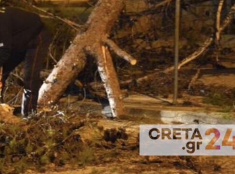Ηράκλειο: Μεγάλο δέντρο έπεσε σε αυτοκίνητα