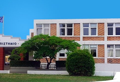 Ηράκλειο: Την Παρασκευή η κοπή επικίνδυνων κλαδιών ευκαλύπτων στη συμβολή των οδών Ευαρέστου και Παναγίας Μαλεβή