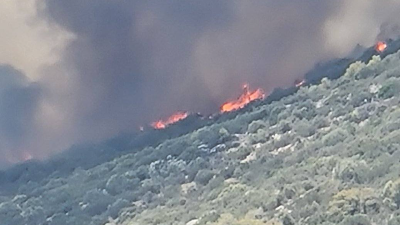 Κερατέα: Φωτιά στον οικισμό Σάκκα