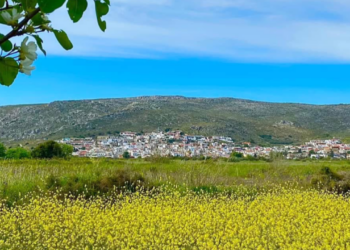 Κιλκίς: Το πάρκο «Χίλια Δέντρα» στις Μουριές προσφέρει χιλιάδες ανάσες ζωής