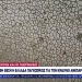 Κλιματικές συνθήκες: Εξαιρετική ξηρασία συνεχίστηκε σε Ευρώπη και Μεσόγειο στις αρχές Αυγούστου