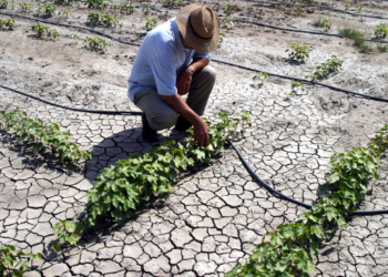 Κλιματική αλλαγή: Ξηρασία ρεκόρ στην Ευρώπη και την περιοχή της Μεσογείου