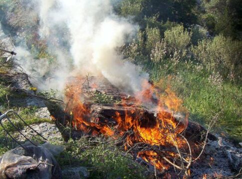 Κρήτη: Θα πληρώσει 1.400 ευρώ για το κάψιμο των κλαδιών