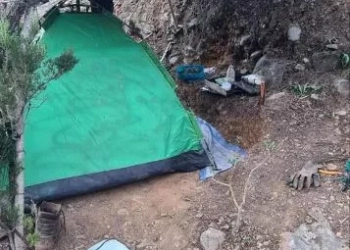 Κρήτη: Βρήκαν φυτεία δενδρυλλίων κάνναβης δίπλα σε φαράγγι - 2 συλλήψεις