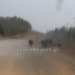 Λαμία: Αγριογούρουνα πάνω στις γραμμές του τρένου