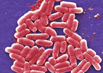 Μικρόβια-κομάντο: Απειλούν εκατ. ανθρώπινες ζωές