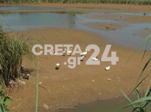 «Μύθος ότι δυτική Κρήτη έχει υπερεπάρκεια νερού» – Η λειψυδρία «χτυπάει κόκκινο» σε όλο το νησί