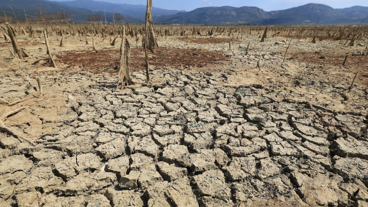 Ο Ιούλιος 2025 ανάμεσα στους τρεις θερμότερους μήνες που καταγράφηκαν ποτέ στη Γη