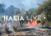 Φωτιά Ηλεία 