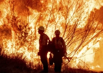 Πολύ υψηλός ο κίνδυνος εκδήλωσης πυρκαγιάς και την Τρίτη – «Πορτοκαλί» η μισή Κρήτη