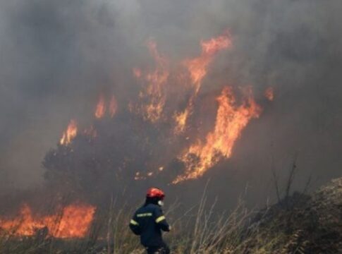 Πολύ υψηλός ο κίνδυνος εκδήλωσης πυρκαγιάς στην Κρήτη και την Παρασκευή 8 Αυγούστου