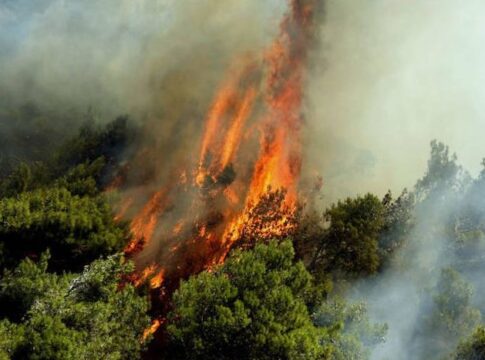 Πολύ υψηλός ο κίνδυνος πυρκαγιάς στην Κρήτη και την Κυριακή 10 Αυγούστου