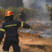Πυροσβεστική: 35 πυρκαγιές σε αγροτικές και δασικές εκτάσεις το τελευταίο 24ωρο