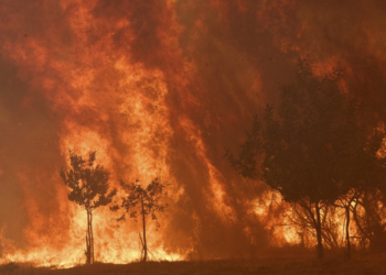 Ρεκόρ πυρκαγιών στην ΕΕ - Στάχτη πάνω από 1 εκατ. εκτάρια γης φέτος