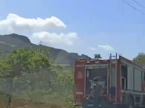 Ρέθυμνο: Πρόλαβαν τη φωτιά οι πυροσβέστες