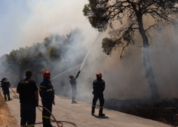 Θεσπρωτία: Ενισχύθηκαν οι δυνάμεις για τη φωτιά στη Χόικα