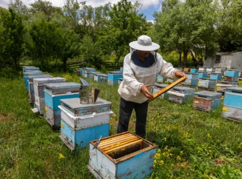 Το 50% των βιολογικών στην Κρήτη δεν δικαιούται επιδότηση, έδειξαν οι έλεγχοι