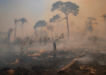 Βραζιλία: Μειώθηκε κατά 65% η επιφάνεια που κάηκε στο τροπικό δάσος του Αμαζονίου τον Ιούλιο