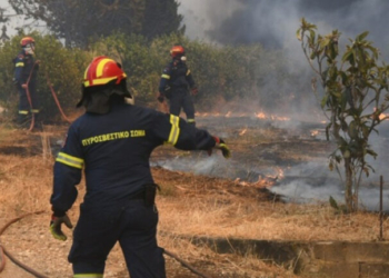 WWF: Ήδη πάνω από τον Μ.Ο 20ετίας οι καμένες εκτάσεις αυτήν την περίοδο