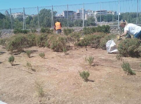 Ξεκίνησε ο καλλωπισμός και η συντήρηση των χώρων πρασίνου σε όλα τα σχολεία του Δήμου Ηρακλείου