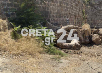 Ξερά χόρτα και κομμένοι κορμοί ακόμα και σήμερα στα Ενετικά Τείχη (βίντεο) – Τι απαντά ο Δήμος Ηρακλείου για την αποκάλυψη του Creta24