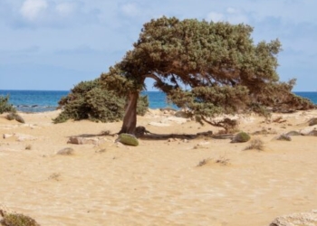 Αυτά είναι τα 19 νησιά που μειώνεται ο ΦΠΑ: Γιατί έμεινε εκτός η Γαύδος και τα ακριτικά νησιά του Βόρειου Ιόνιου