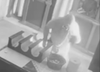 Άγνωστος εισέβαλε στη Μονή Αφέντη Χριστού – Καρέ-καρέ η προσπάθεια του να διαρρήξει το παγκάρι