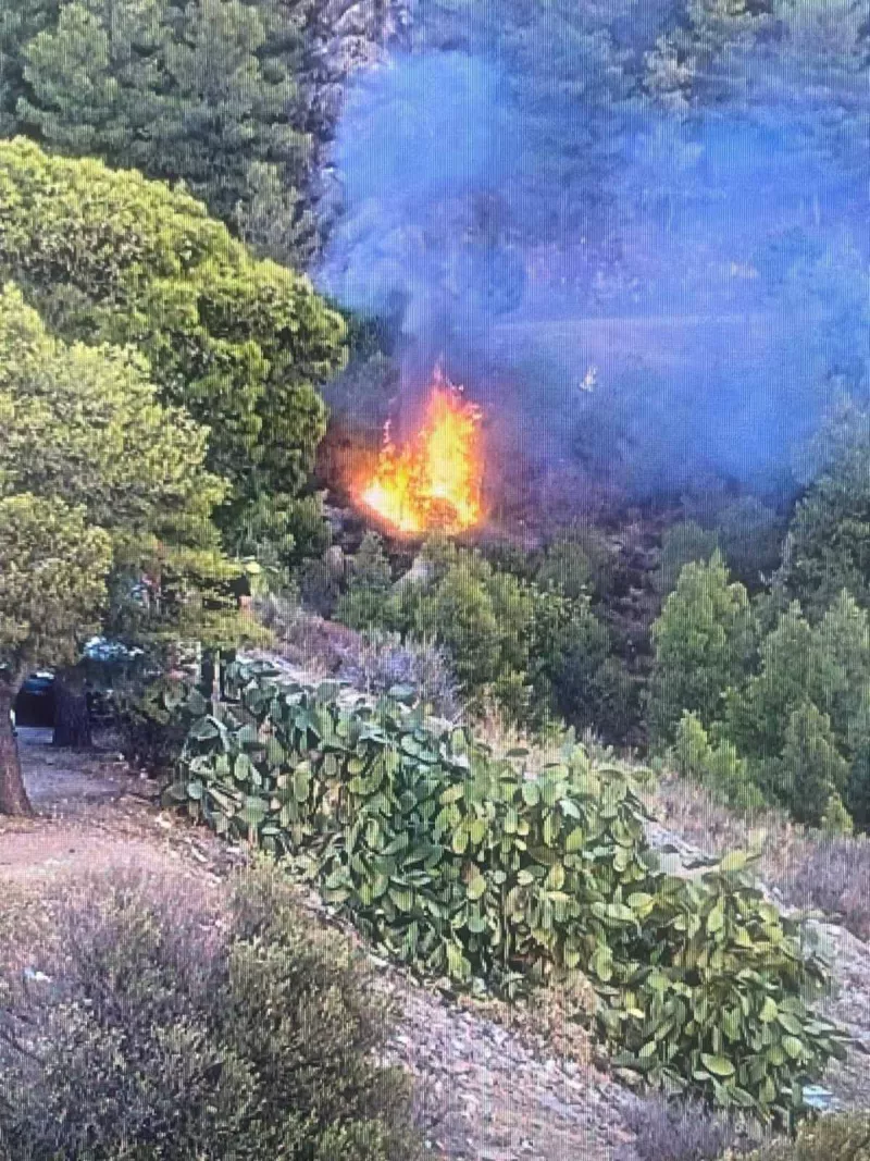 Φωτιά στο δάσος Υμηττού