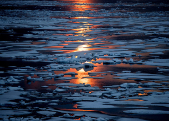 Αρκτική: Αδύνατη η επανάψυξη του Βόρειου Πόλου σύμφωνα με επιστημονική μελέτη