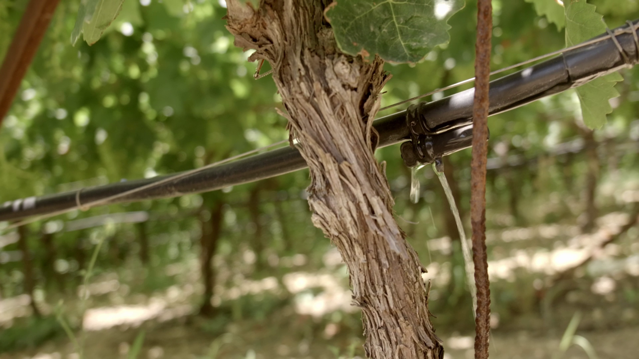 Χάλκη: Στην πρώτη θέση για την Προστασία του Κλίματος