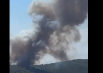 Χαλκιδική: Απαγόρευση κυκλοφορίας σε συγκεκριμένες περιοχές λόγω αυξημένου κινδύνου πυρκαγιάς