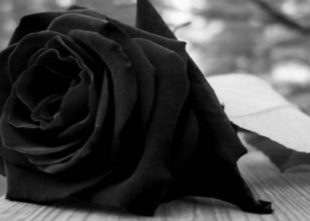 Χανιά: θλίψη για την αγαπητή αρχιτέκτονα που έφυγε από τη ζωή