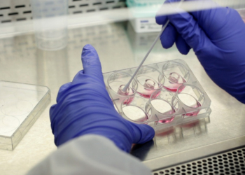 Covid19 και γρίπη «ξυπνούν» καρκινικά κύτταρα - Τι αποκαλύπτει νέα μελέτη