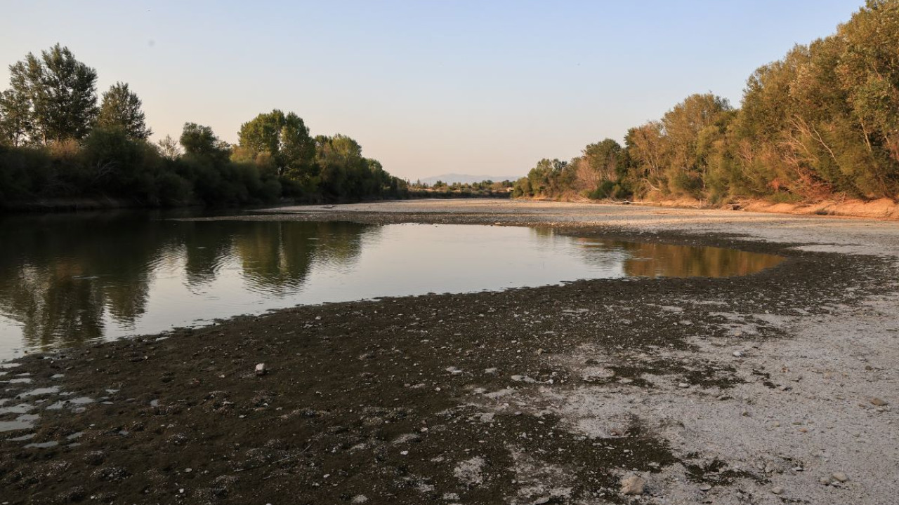 Ελισάβετ Φελώνη: «Η κατάσταση με το νερό είναι ανησυχητική»
