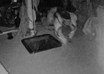 Επίθεση με drones στον «Στόλο για τη Γάζα» ανοιχτά της Κρήτης – Βίντεο