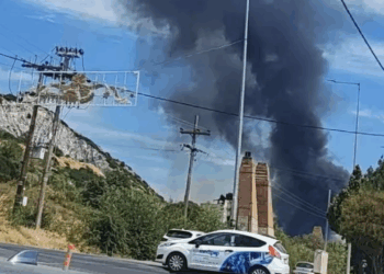 Φωτιά σε δασική έκταση στην Πυλαία Θεσσαλονίκης