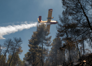 Φωτιά στη Λαγόμανδρα Χαλκιδικής - Επιχειρούν και εναέρια - Ήχησε το 112