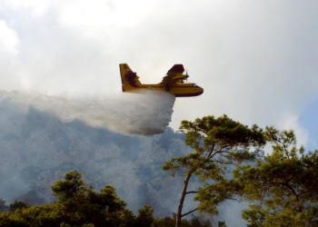 Φωτιά στην Παλαιόπολη Άνδρου