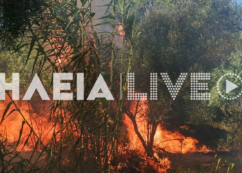 Φωτιά ξέσπασε στο Πετρωτό Δομοκού