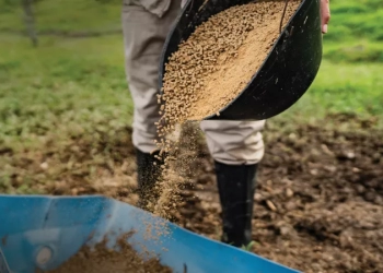 Η Δύναμή μας: Για έναν κόσμο με λιγότερη σπατάλη και περισσότερη αγάπη