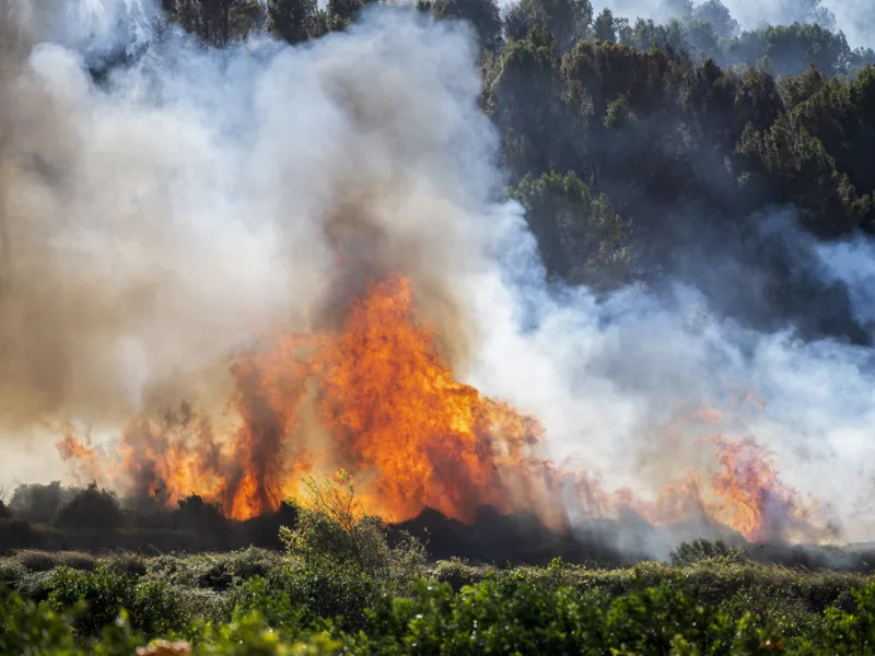Καύσωνας λόγω κλιματικής αλλαγής