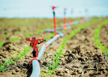 Η παρατεταμένη ανομβρία, το “λουκέτο” στα δίκτυα και οι κρίσιμοι επόμενοι δύο μήνες
