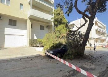 Ηράκλειο: Πτώση δέντρου σε αυτοκίνητο!