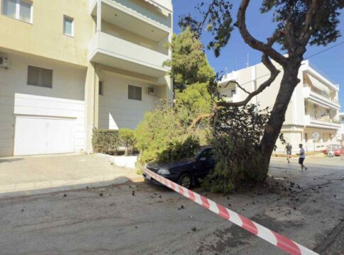 Ηράκλειο: Πτώση δέντρου σε αυτοκίνητο!
